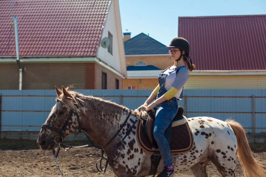 Фото 379 — Конный двор «Зилант»: для любителей верховой езды