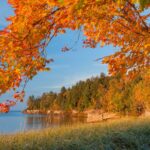 Парк «Золотая осень»: краски природы