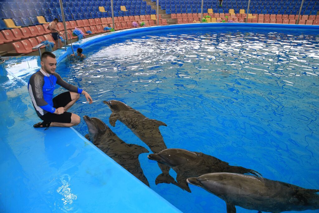 Фото 339 — Казанский дельфинарий: встреча с дельфинами